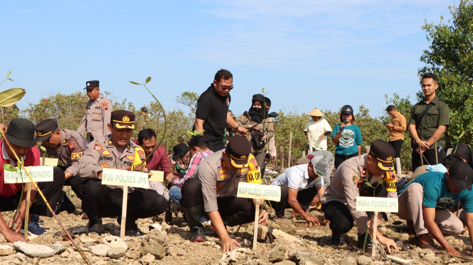 Xxx Bocah Sd - Tanam Mangrove, Kapolres Jepara Ajak Masyarakat Tingkatkan Kepedulian  Lingkungan â€“ Tribratanews Jepara